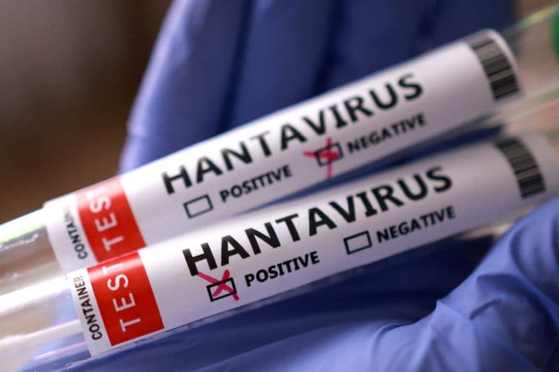 Hantavirus: are we facing a new pandemic?